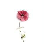 Poetry of Death and Grief Kindle eBook by Serenity Press-0
